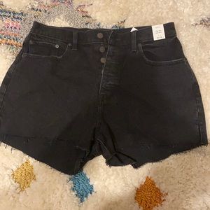 Abercrombie curve love short